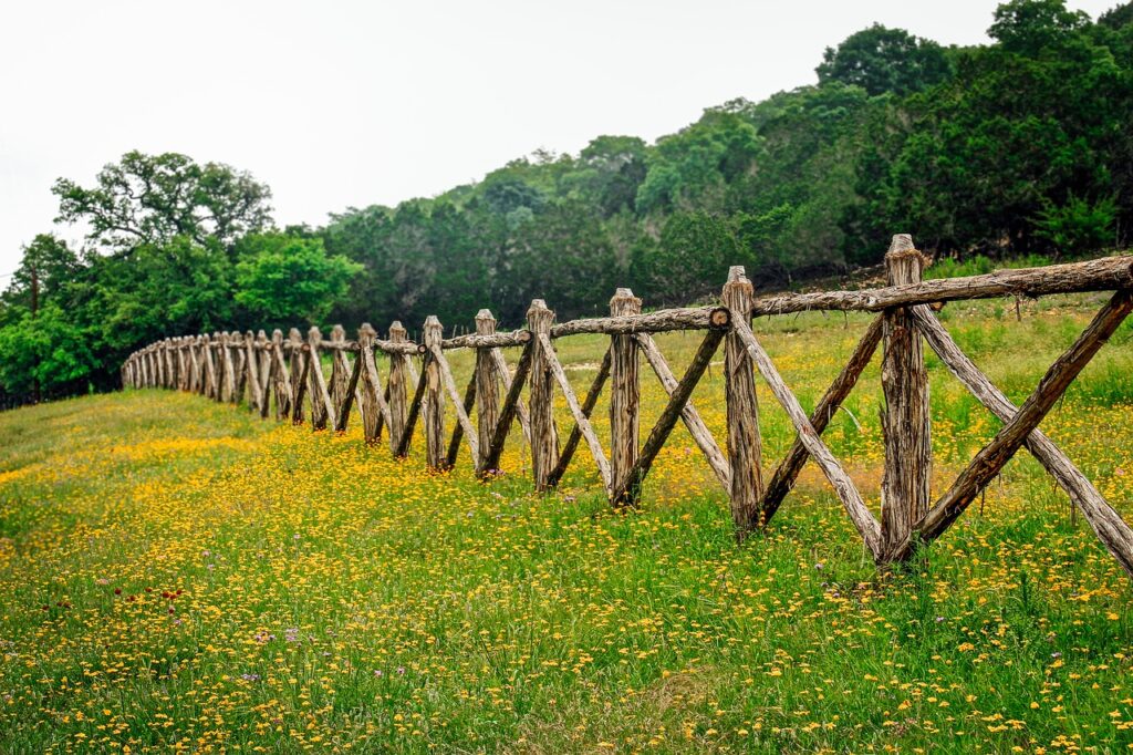 hill country texas, fence row, texas wildflowers-3661240.jpg