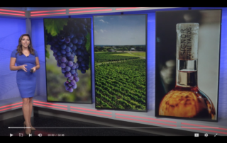 CBS Austin interviews Coordinates Vineyards