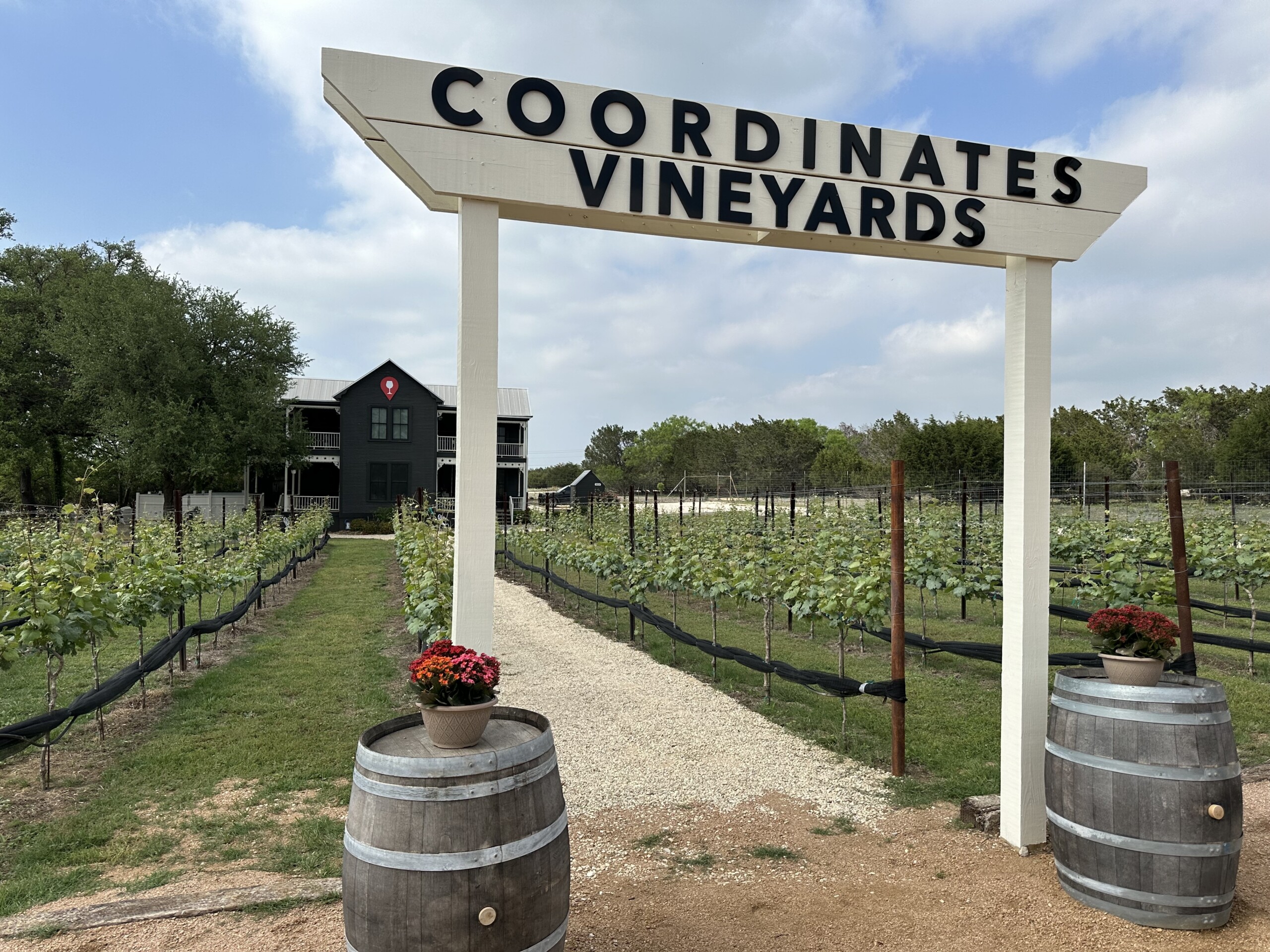 Texas Hill Country wineries near Fredericksburg and Hye Texas along the Highway 290 wine trail