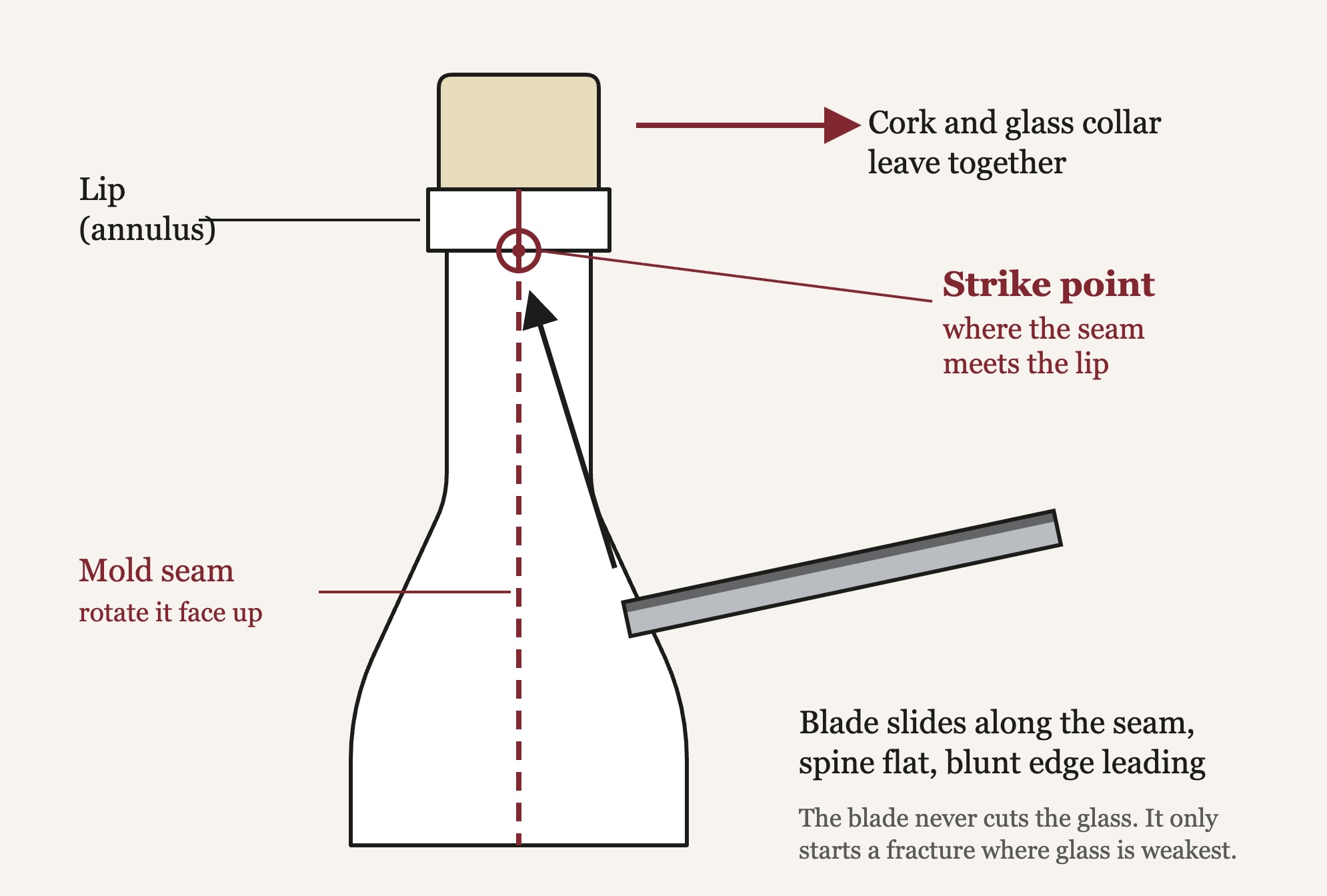 Saber diagram - seam and strike point - how to saber a bottle of sparkling wine safely - Coordinates Vineyards